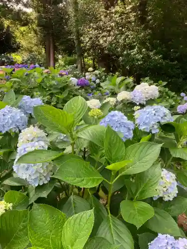 吉備津神社(岡山県)