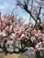 天神社(兵庫県)