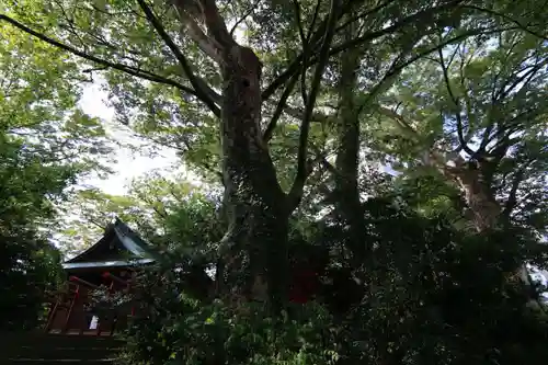 愛宕神社の景色