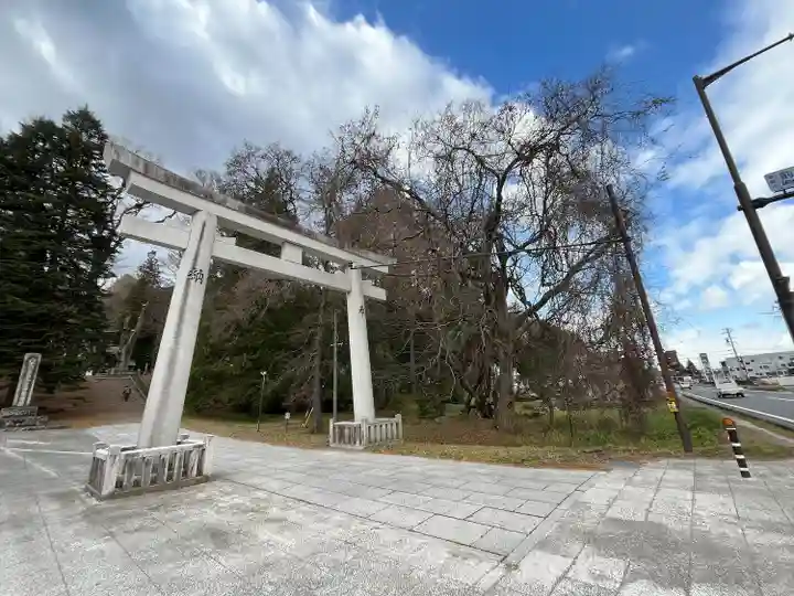 諏訪大社上社前宮(長野県)