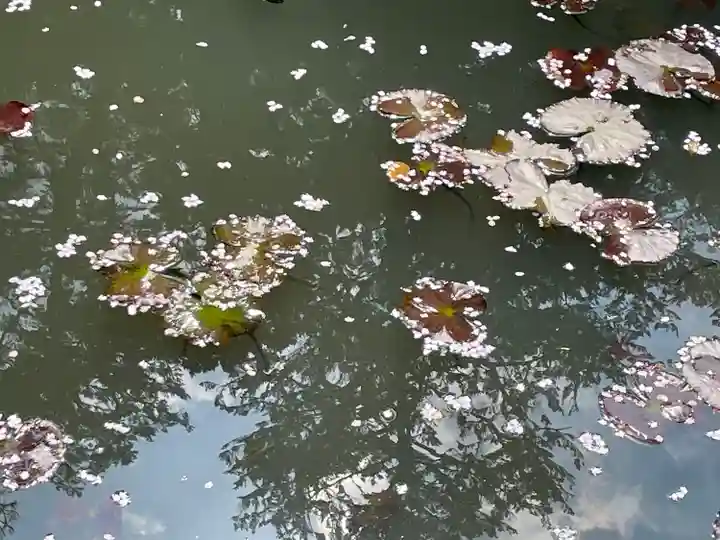 小松寺(千葉県)