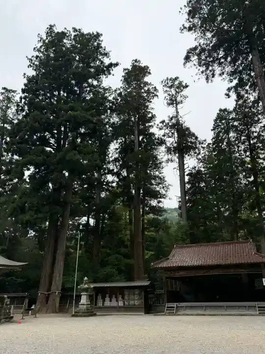 伊和神社の{uncategorized: "未分類", other: "その他", undefined: "問題あり", building: "その他建物", grave: "お墓", sacred_gate: "鳥居", guardian: "狛犬", statue: "像", buddha: "仏像", history: "歴史", nature: "自然", garden: "庭園", animal: "動物", pagoda: "塔", temizu: "手水舎", mountain_gate: "山門・神門", sanctuary: "本殿・本堂", subordinate: "末社・摂社", art: "芸術", scenery: "景色", jizo: "地蔵", ema: "絵馬", goshuin: "御朱印", omikuji: "おみくじ", items: "授与品その他", amulet: "お守り", goshuincho: "御朱印帳", eats: "食事", festival: "お祭り", votive_dance: "神楽", shichigosan: "七五三参", wedding: "結婚式", experience: "体験その他", initially: "初詣", around: "周辺", anti_infection: "感染症対策"}