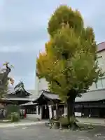 素盞雄神社(東京都)