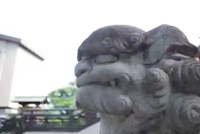 高﨑神社の狛犬