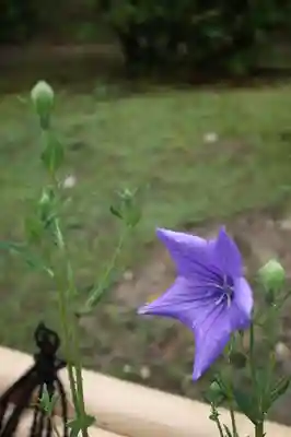  智積院(京都府)