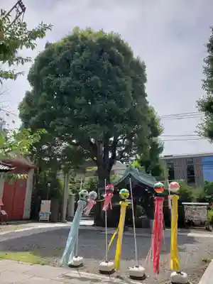 麻布氷川神社(東京都)