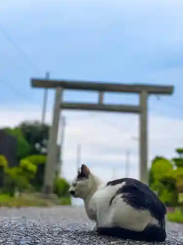 尻岸内八幡神社の景色