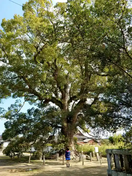 白鳥神社の自然
