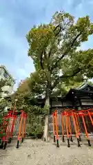 堀越神社(大阪府)