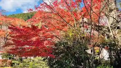 西明寺(京都府)