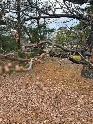 建仁寺（建仁禅寺）(京都府)