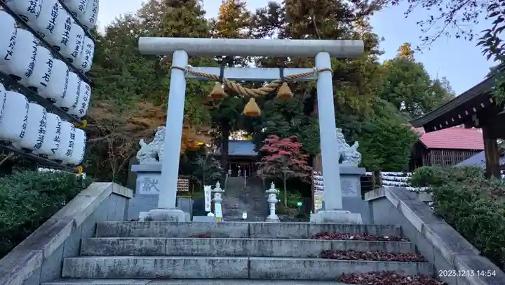 中氷川神社(埼玉県)