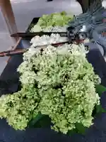 熊野神社の手水舎