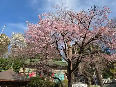 花園稲荷神社(東京都)