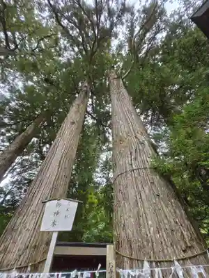 日光二荒山神社(栃木県)
