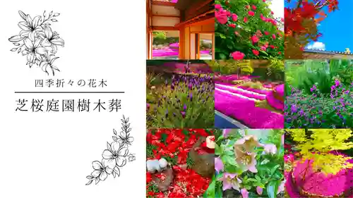 寿量山　速成寺(奈良県)