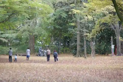 賀茂御祖神社（下鴨神社）の景色