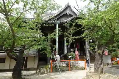 金剛宝寺（紀三井寺）の本殿・本堂