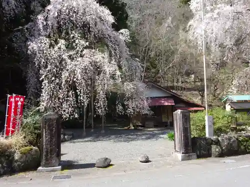 朝日之祖師堂の自然