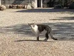 荘厳浄土寺の動物