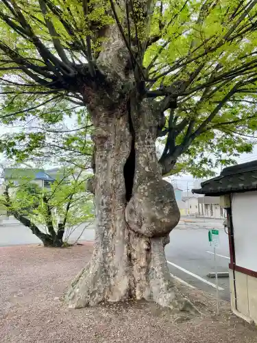 九品寺(群馬県)
