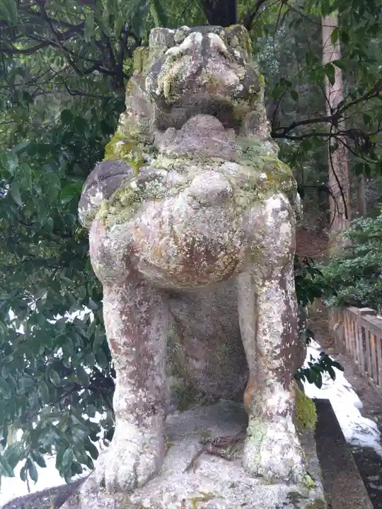 国中神社(福井県)
