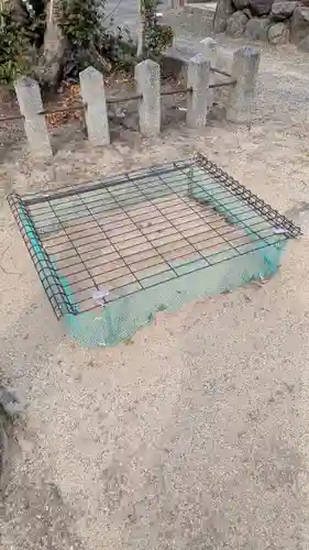 白鬚神社(滋賀県)