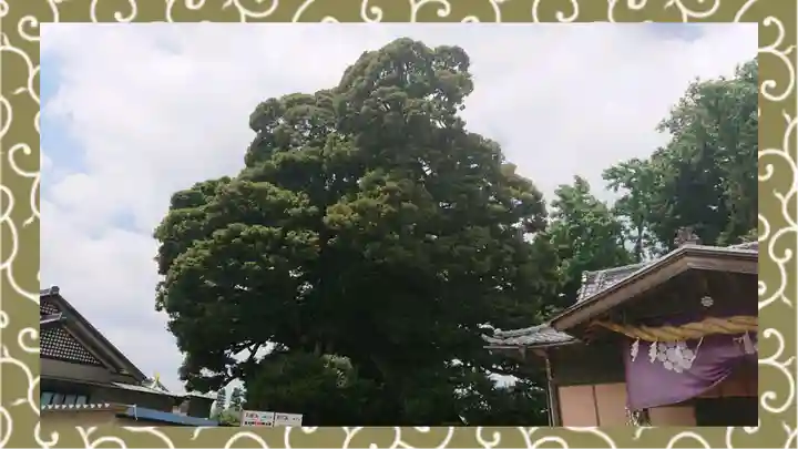 九重神社(埼玉県)