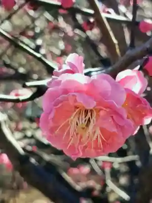 福蔵院(東京都)