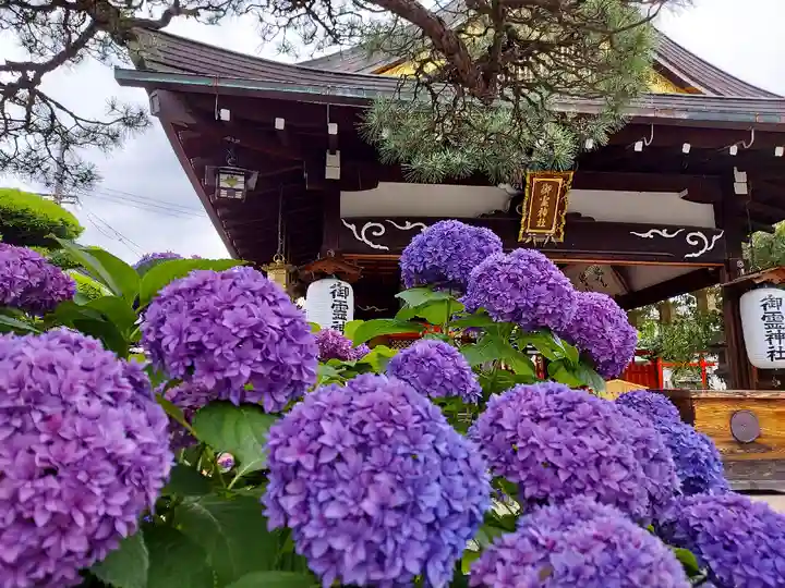 御霊神社の自然