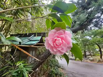 新潟大神宮(新潟県)
