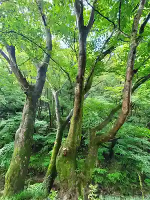 大峯不動尊(福島県)