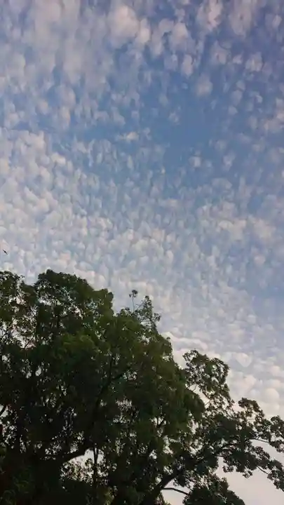尾張大國霊神社(国府宮)の自然