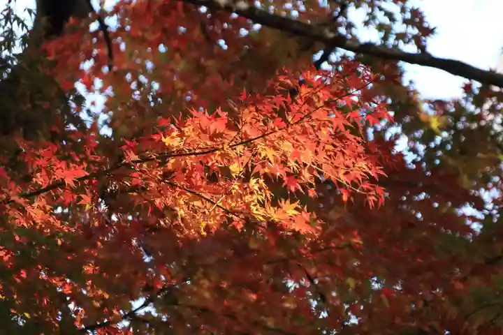 田村神社の景色