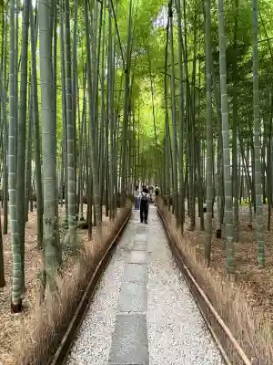 報国寺(神奈川県)
