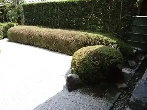 大池寺(滋賀県)