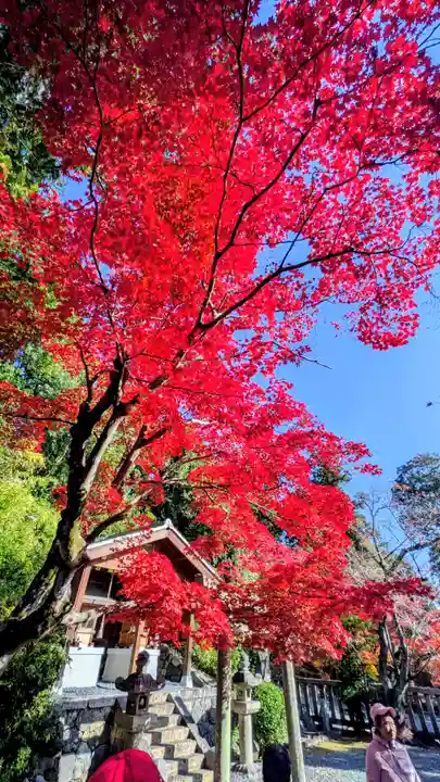 光明寺(粟生光明寺)(京都府)