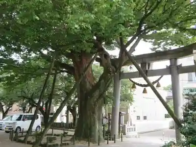 羽咋神社(石川県)