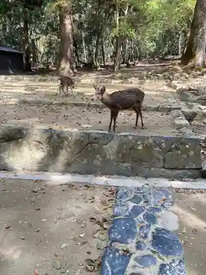 春日大社(奈良県)
