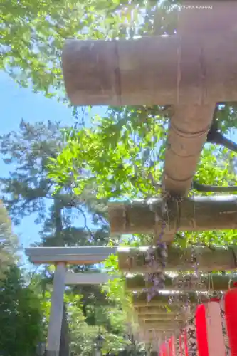 越ヶ谷久伊豆神社(埼玉県)