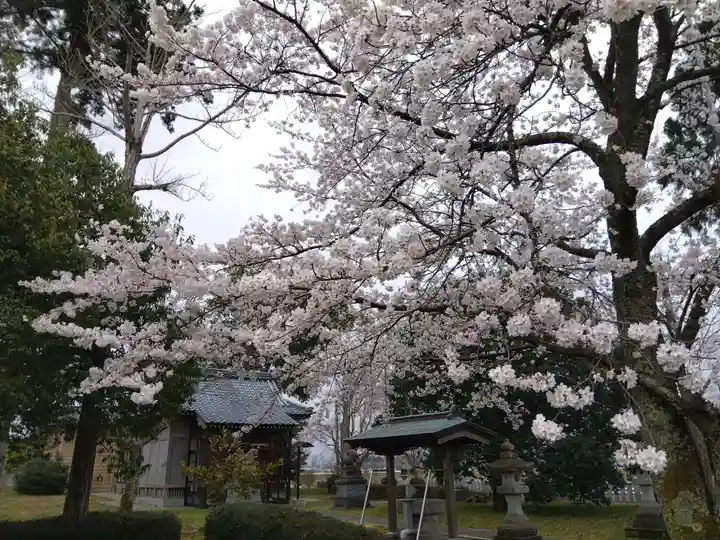 白山神社(福井県)