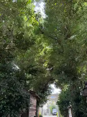 戸越八幡神社(東京都)