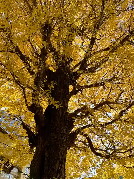 千住本氷川神社(東京都)