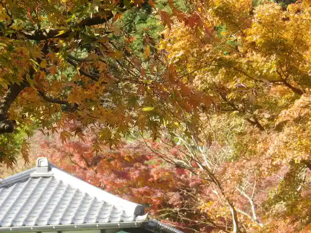 長壽寺(長寿寺)の自然