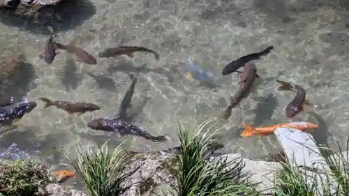 滋賀院門跡(滋賀県)