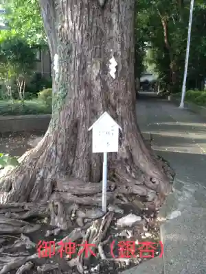 五社神社(神奈川県)