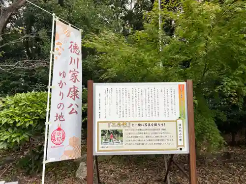 元城町東照宮の歴史