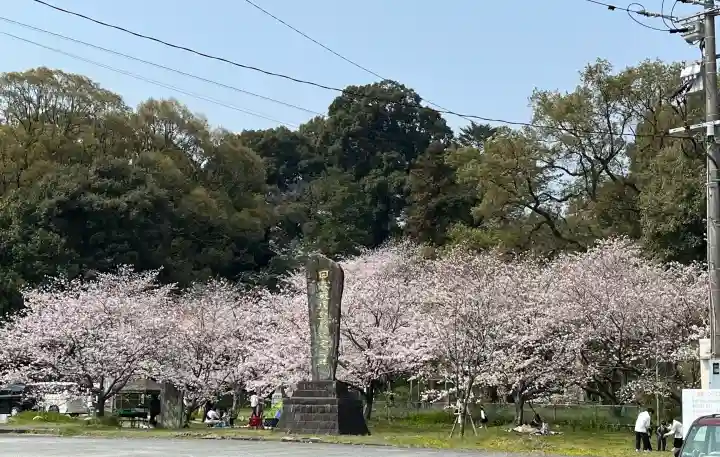 筑紫神社の{uncategorized: "未分類", other: "その他", undefined: "問題あり", building: "その他建物", grave: "お墓", sacred_gate: "鳥居", guardian: "狛犬", statue: "像", buddha: "仏像", history: "歴史", nature: "自然", garden: "庭園", animal: "動物", pagoda: "塔", temizu: "手水舎", mountain_gate: "山門・神門", sanctuary: "本殿・本堂", subordinate: "末社・摂社", art: "芸術", scenery: "景色", jizo: "地蔵", ema: "絵馬", goshuin: "御朱印", omikuji: "おみくじ", items: "授与品その他", amulet: "お守り", goshuincho: "御朱印帳", eats: "食事", festival: "お祭り", votive_dance: "神楽", shichigosan: "七五三参", wedding: "結婚式", experience: "体験その他", initially: "初詣", around: "周辺", anti_infection: "感染症対策"}
