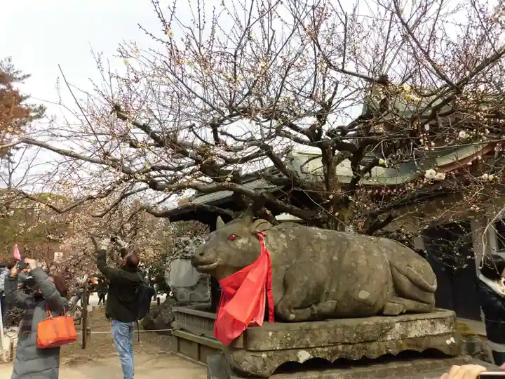 北野天満宮(京都府)
