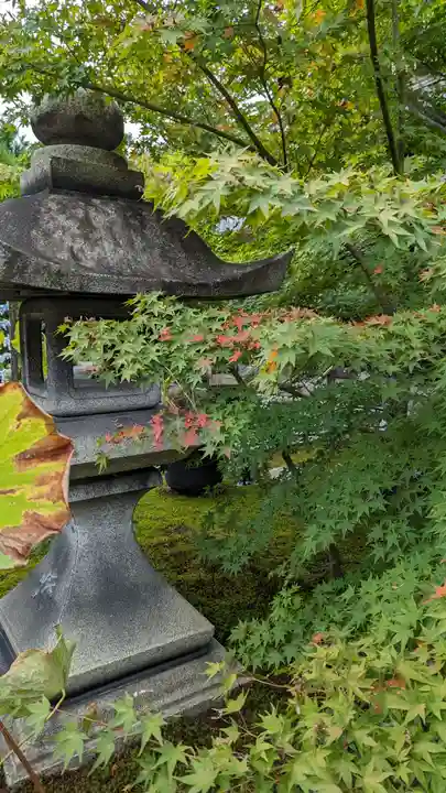 勝林寺(京都府)